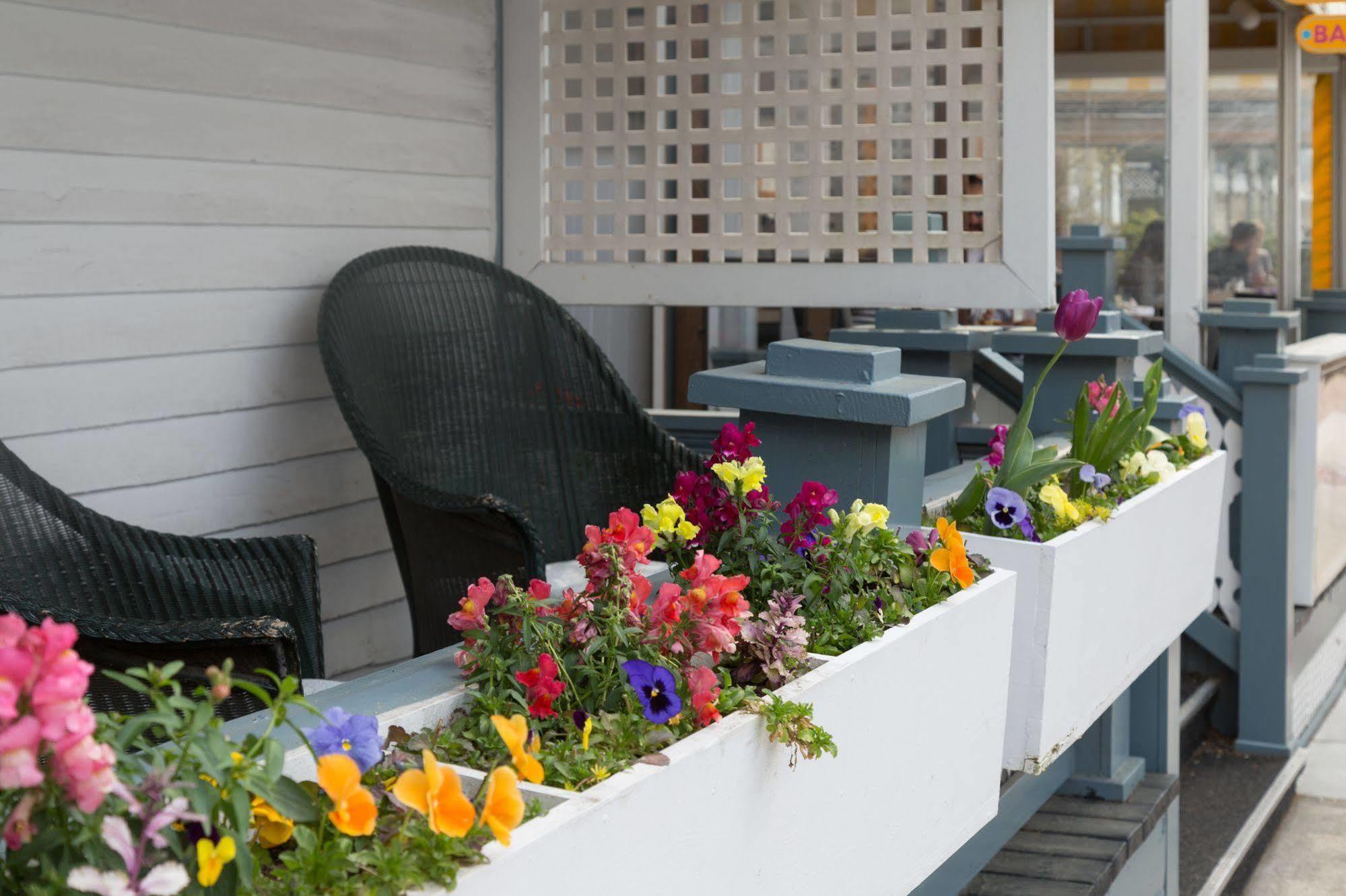 The Carroll Villa Hotel Cape May Eksteriør billede